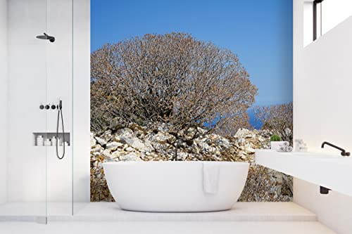 Glücksvilla - Fototapete, selbstklebend (240 x 300 cm BxH) - div. Maße - Vlies-Tapete XXL Wand-Deko - Wilde Macchia auf Naxos 2 - maritime Fotografie Meer Klippe Sträucher Natur x von Glücksvilla