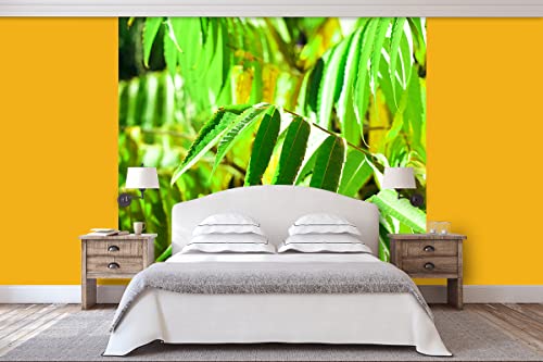 Glücksvilla - Fototapete, selbstklebend (240 x 300 cm BxH) - div. Maße - Vlies-Tapete - moderne Wand-Deko - Buntes Herbstlaub 3 - Fotografie Garten-Pflanzen Baum Herbst Blätter Natur von Glücksvilla