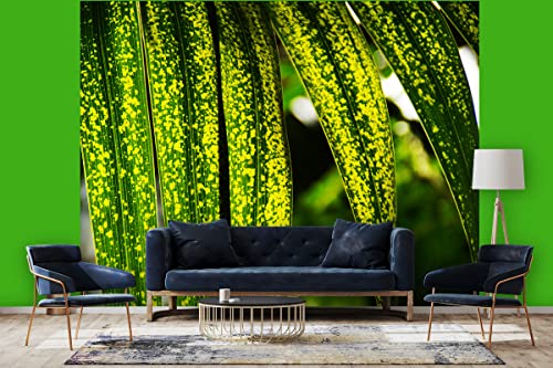 Glücksvilla - Fototapete, selbstklebend (360 x 250 cm (BxH) - div. Maße - Vlies-Tapete - Wand-Deko - Blattwerk 1 - Pflanze Blätter Natur Garten Botanik Palme Fotografie x von Glücksvilla