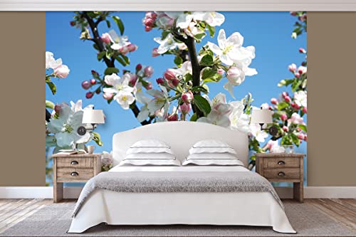Glücksvilla - Fototapete, selbstklebend (360 x 250 cm (BxH) - div. Maße - Vlies-Tapete XXL Wand-Deko - Apfelblüten-Frühling 1 - Natur Botanik Apfel-Baum Garten Blume Blüte Fotografie x von Glücksvilla