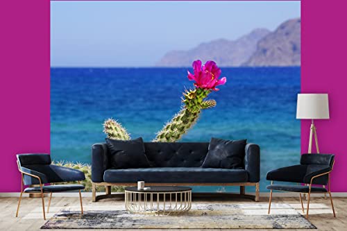 Glücksvilla - Fototapete, selbstklebend (360 x 250 cm (BxH) - div. Maße - Vlies-Tapete XXL Wand-Deko - Kreta - pinke Kaktusblüte - Griechenland Mittelmeer Kakteen Blüte Meer Fotografie x von Glücksvilla