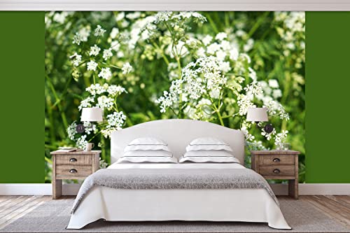 Glücksvilla - Fototapete, selbstklebend (360 x 250 cm (BxH) - div. Maße - Vlies-Tapete XXL moderne Wand-Deko - Wiesen-Kerbel im Frühling - Natur Botanik Garten Blume Blüte weiß grün Fotografie von Glücksvilla