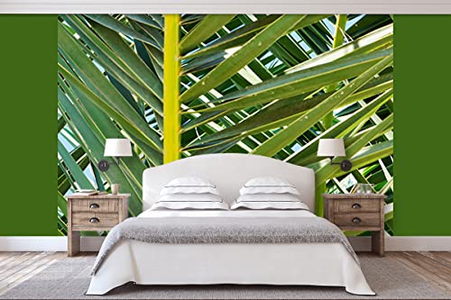 Glücksvilla - Fototapete, selbstklebend (360 x 250 cm BxH) - div. Maße - Vlies-Tapete - Wand-Deko - Palmenfächer 2 - mediterrane Fotografie Fächer-Palme Garten-Pflanze Natur x von Glücksvilla