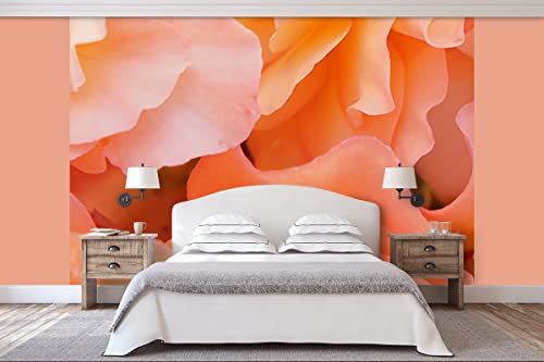 Glücksvilla - Fototapete, selbstklebend (360 x 250 cm BxH) - div. Maße - Vlies-Tapete XXL Wand-Deko - Rosen-Blüte Rosentraum 5 - florale Fotografie Blume Garten-Pflanze Natur Botanik x von Glücksvilla
