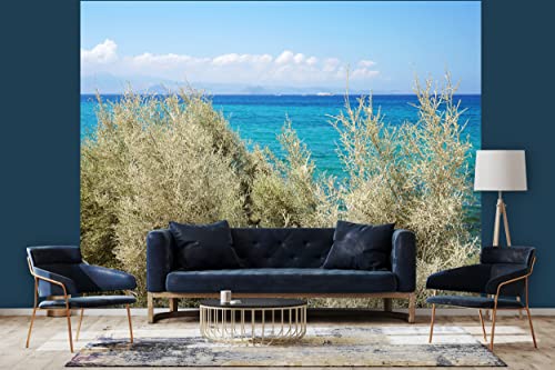 Glücksvilla - Fototapete, selbstklebend (360 x 250 cm BxH) - div. Maße - Vlies-Tapete XXL Wand-Deko - Strand-Idylle auf Naxos 1 - maritime Fotografie Meer Strand Macchia Busch Natur x von Glücksvilla