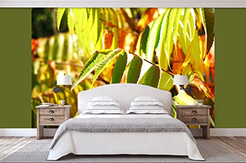 Glücksvilla - Fototapete, selbstklebend (360 x 250 cm BxH) - div. Maße - Vlies-Tapete XXL moderne Wand-Deko - Buntes Herbstlaub - Fotografie Garten-Pflanzen Baum Herbst Blätter Natur von Glücksvilla