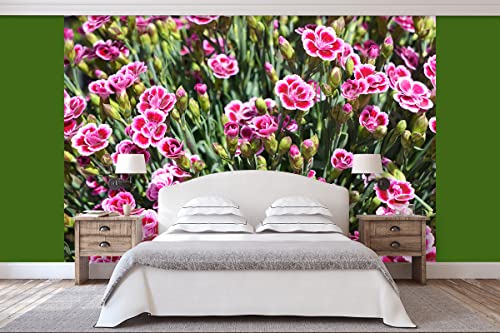 Glücksvilla - Fototapete, selbstklebend (360 x 250 cm BxH) - div. Maße - Vlies-Tapete XXL moderne Wand-Deko - Prinzess-Nelke pink Kisses - Fotografie Blumen Blüten Garten-Pflanzen Natur von Glücksvilla