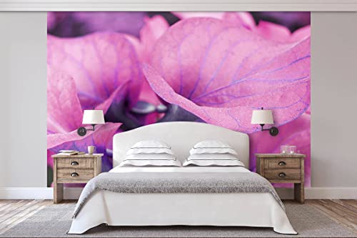Glücksvilla - Fototapete, selbstklebend (360 x 250 cm BxH) - div. Maße - Vlies-Tapete - moderne Wand-Deko - Calla-Blüten Romantik 3 - florale Fotografie Garten-Pflanzen Blumen Natur von Glücksvilla