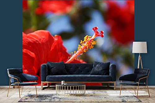 Glücksvilla - Fototapete, selbstklebend (360 x 300 cm (BxH) - div. Maße - Vlies-Tapete XXL Wand-Deko - Kreta roter Hibiskus - Griechenland Mittelmeer Blume Blüte Natur Fotografie x von Glücksvilla