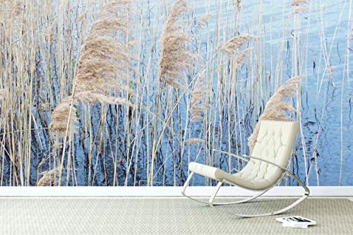 Glücksvilla - Fototapete, selbstklebend (360 x 300 cm (BxH) - div. Maße - Vlies-Tapete XXL Wand-Deko - Schilfgras - Landschaft Natur Meer Strand See Pampasgras moderne Fotografie x von Glücksvilla
