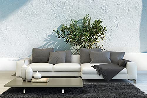 Glücksvilla - Fototapete, selbstklebend (360 x 300 cm (BxH) - div. Maße - Vlies-Tapete XXL Wand-Deko - Weiß 3 - Griechenland Baum Pflanze Olive Bäumchen Topfpflanze Kaktus x von Glücksvilla