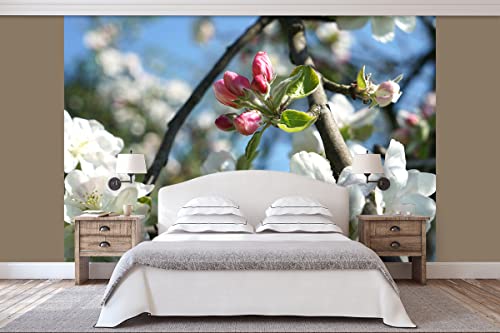 Glücksvilla - Fototapete, selbstklebend (360 x 300 cm (BxH) - div. Maße - Vlies-Tapete XXL moderne Wand-Deko - Apfelblüten-Frühling 4 - Natur Botanik Apfel-Baum Garten Blume Blüte Fotografie von Glücksvilla