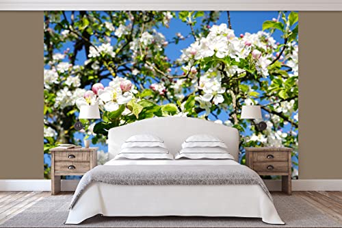Glücksvilla - Fototapete, selbstklebend (360 x 300 cm (BxH) - div. Maße - Vlies-Tapete - moderne Wand-Deko - Apfelblüten-Frühling 3 - Natur Botanik Apfel-Baum Garten Blume Blüte Fotografie von Glücksvilla