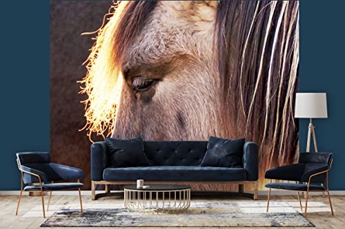 Glücksvilla - Fototapete, selbstklebend (360 x 300 cm (BxH) - div. Maße - Vlies-Tapete - moderne Wand-Deko - Wildpferd 1 - Pferdekopf Pferd Mähne Tiere Pony Bauernhof Natur Fotografie x von Glücksvilla