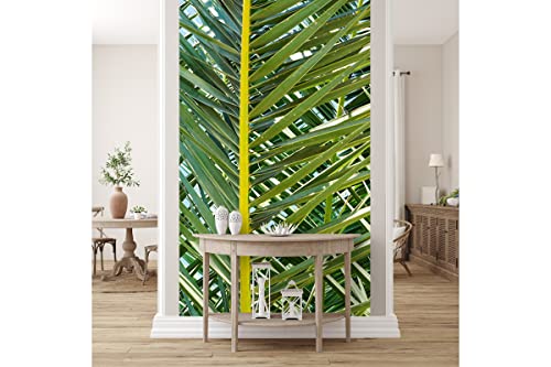 Glücksvilla - Fototapete, selbstklebend (360 x 300 cm BxH) - div. Maße - Vlies-Tapete - Wand-Deko - Palmenfächer 2 - mediterrane Fotografie Fächer-Palme Garten-Pflanze Natur x von Glücksvilla