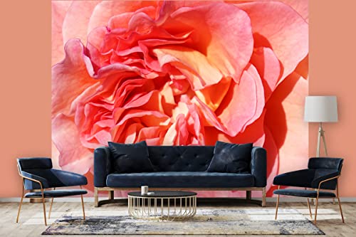 Glücksvilla - Fototapete, selbstklebend (360 x 300 cm BxH) - div. Maße - Vlies-Tapete - Wand-Deko - Rosen-Blüte Rosentraum 3 - florale Fotografie Blume Garten-Pflanze Natur Botanik x von Glücksvilla