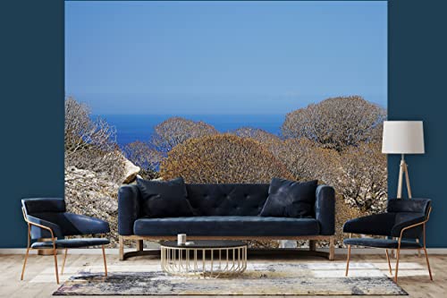 Glücksvilla - Fototapete, selbstklebend (360 x 300 cm BxH) - div. Maße - Vlies-Tapete - Wand-Deko - Wilde Macchia auf Naxos - maritime Fotografie Meer Klippe Sträucher Natur x von Glücksvilla