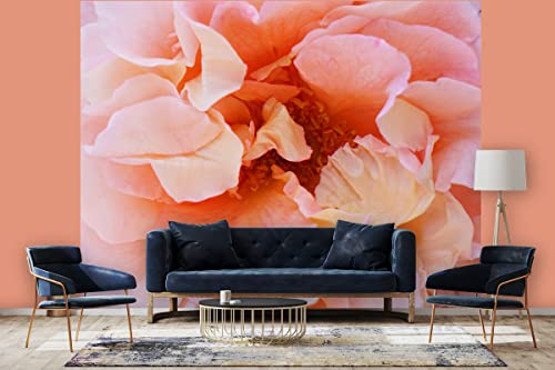 Glücksvilla - Fototapete, selbstklebend (360 x 300 cm BxH) - div. Maße - Vlies-Tapete XXL Wand-Deko - Rosen-Blüte Rosentraum 4 - florale Fotografie Blume Garten-Pflanze Natur Botanik x von Glücksvilla