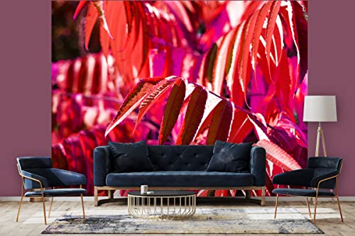 Glücksvilla - Fototapete, selbstklebend (360 x 300 cm BxH) - div. Maße - Vlies-Tapete XXL moderne Wand-Deko - Buntes Herbstlaub 4 - Fotografie Garten-Pflanzen Baum Herbst Blätter Natur von Glücksvilla