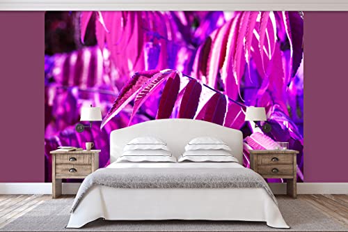 Glücksvilla - Fototapete, selbstklebend (360 x 300 cm BxH) - div. Maße - Vlies-Tapete XXL moderne Wand-Deko - Buntes Herbstlaub 5 - Fotografie Garten-Pflanzen Baum Herbst Blätter Natur von Glücksvilla