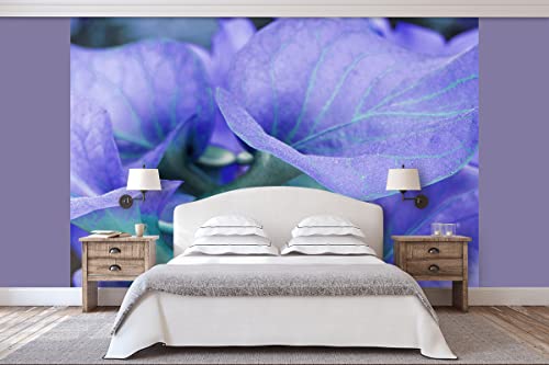 Glücksvilla - Fototapete, selbstklebend (360 x 300 cm BxH) - div. Maße - Vlies-Tapete XXL moderne Wand-Deko - Calla-Blüten Romantik 2 - florale Fotografie Garten-Pflanzen Blumen Natur von Glücksvilla
