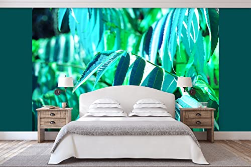 Glücksvilla - Fototapete, selbstklebend (360 x 300 cm BxH) - div. Maße - Vlies-Tapete - moderne Wand-Deko - Buntes Herbstlaub 2 - Fotografie Garten-Pflanzen Baum Herbst Blätter Natur von Glücksvilla