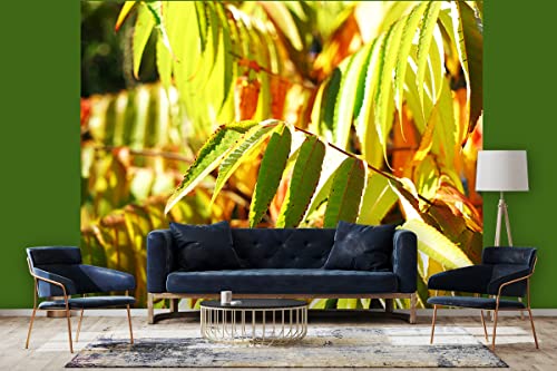 Glücksvilla - Fototapete, selbstklebend (360 x 300 cm BxH) - div. Maße - Vlies-Tapete - moderne Wand-Deko - Buntes Herbstlaub - Fotografie Garten-Pflanzen Baum Herbst Blätter Natur von Glücksvilla