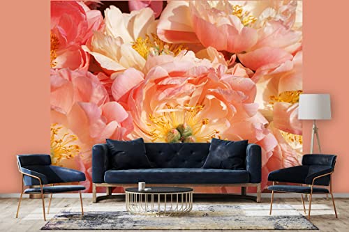 Glücksvilla - Fototapete, selbstklebend (480 x 250 cm (BxH) - div. Maße - Vlies-Tapete XXL Wand-Deko - Rosa Pfingstrosen-Blüte - Paeonia lactiflora Blume Blüte Pflanze Garten Fotografie x von Glücksvilla