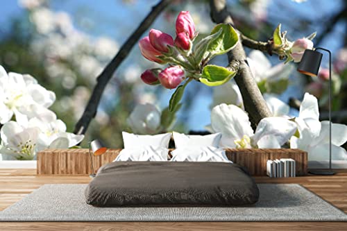 Glücksvilla - Fototapete, selbstklebend (480 x 250 cm (BxH) - div. Maße - Vlies-Tapete - moderne Wand-Deko - Apfelblüten-Frühling 4 - Natur Botanik Apfel-Baum Garten Blume Blüte Fotografie von Glücksvilla