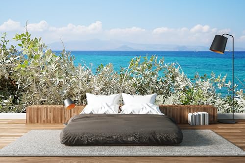 Glücksvilla - Fototapete, selbstklebend (480 x 250 cm BxH) - div. Maße - Vlies-Tapete - Wand-Deko - Strand-Idylle auf Naxos 2 - maritime Fotografie Meer Strand Macchia Busch Natur x von Glücksvilla