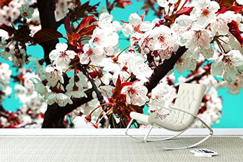 Glücksvilla - Fototapete, selbstklebend (480 x 250 cm BxH) - div. Maße - Vlies-Tapete XXL Wand-Deko - Japan-Style Kirschblüte 2 - Fotografie Garten-Pflanzen Blumen Blätter Natur x von Glücksvilla
