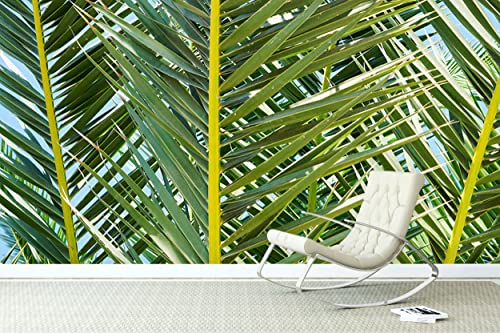 Glücksvilla - Fototapete, selbstklebend (480 x 250 cm BxH) - div. Maße - Vlies-Tapete XXL Wand-Deko - Palmenfächer 2 - mediterrane Fotografie Fächer-Palme Garten-Pflanze Natur x von Glücksvilla