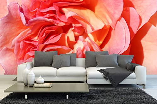 Glücksvilla - Fototapete, selbstklebend (480 x 250 cm BxH) - div. Maße - Vlies-Tapete XXL Wand-Deko - Rosen-Blüte Rosentraum 3 - florale Fotografie Blume Garten-Pflanze Natur Botanik x von Glücksvilla
