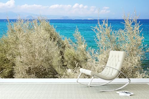 Glücksvilla - Fototapete, selbstklebend (480 x 250 cm BxH) - div. Maße - Vlies-Tapete XXL Wand-Deko - Strand-Idylle auf Naxos 1 - maritime Fotografie Meer Strand Macchia Busch Natur x von Glücksvilla
