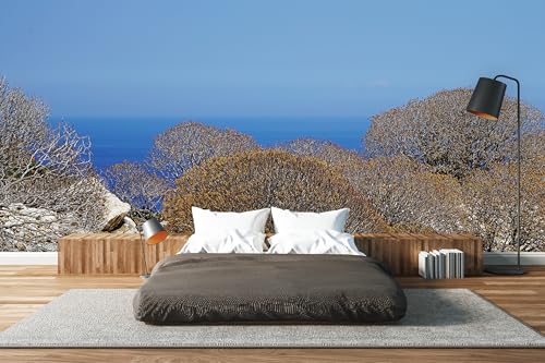 Glücksvilla - Fototapete, selbstklebend (480 x 250 cm BxH) - div. Maße - Vlies-Tapete XXL Wand-Deko - Wilde Macchia auf Naxos - maritime Fotografie Meer Klippe Sträucher Natur x von Glücksvilla