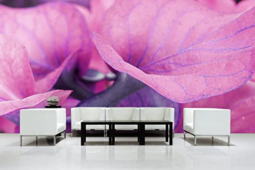 Glücksvilla - Fototapete, selbstklebend (480 x 250 cm BxH) - div. Maße - Vlies-Tapete - moderne Wand-Deko - Calla-Blüten Romantik 3 - florale Fotografie Garten-Pflanzen Blumen Natur von Glücksvilla