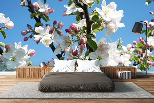Glücksvilla - Fototapete, selbstklebend (480 x 300 cm (BxH) - div. Maße - Vlies-Tapete XXL Wand-Deko - Apfelblüten-Frühling 1 - Natur Botanik Apfel-Baum Garten Blume Blüte Fotografie x von Glücksvilla