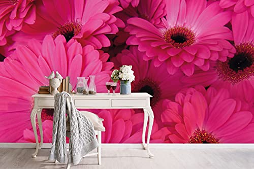 Glücksvilla - Fototapete, selbstklebend (480 x 300 cm (BxH) - div. Maße - Vlies-Tapete XXL Wand-Deko - Gerbera in Pink - Blumen-Strauß Blüte Natur Garten Botanik rosa lila Fotografie x von Glücksvilla