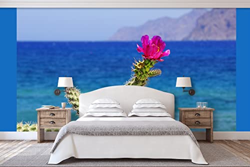 Glücksvilla - Fototapete, selbstklebend (480 x 300 cm (BxH) - div. Maße - Vlies-Tapete XXL Wand-Deko - Kreta - pinke Kaktusblüte - Griechenland Mittelmeer Kakteen Blüte Meer Fotografie x von Glücksvilla