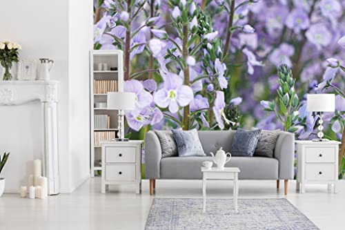 Glücksvilla - Fototapete, selbstklebend (480 x 300 cm (BxH) - div. Maße - Vlies-Tapete XXL moderne Wand-Deko - Enzian-Ehrenpreis Maihimmel - Blauer Enzian lila Blume Blüte Pflanze Garten von Glücksvilla