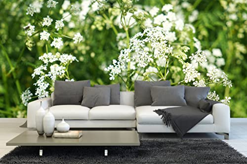 Glücksvilla - Fototapete, selbstklebend (480 x 300 cm (BxH) - div. Maße - Vlies-Tapete XXL moderne Wand-Deko - Wiesen-Kerbel im Frühling - Natur Botanik Garten Blume Blüte weiß grün Fotografie von Glücksvilla