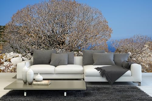 Glücksvilla - Fototapete, selbstklebend (480 x 300 cm BxH) - div. Maße - Vlies-Tapete - Wand-Deko - Wilde Macchia auf Naxos 2 - maritime Fotografie Meer Klippe Sträucher Natur x von Glücksvilla