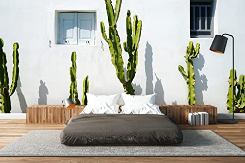 Glücksvilla - Fototapete, selbstklebend (480 x 300 cm BxH) - div. Maße - Vlies-Tapete XXL Wand-Deko - Kakteen vor weißer Wand - mediterrane Fotografie Kaktus Garten-Pflanze Natur x von Glücksvilla