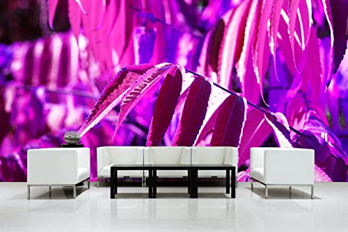 Glücksvilla - Fototapete, selbstklebend (480 x 300 cm BxH) - div. Maße - Vlies-Tapete XXL moderne Wand-Deko - Buntes Herbstlaub 5 - Fotografie Garten-Pflanzen Baum Herbst Blätter Natur von Glücksvilla
