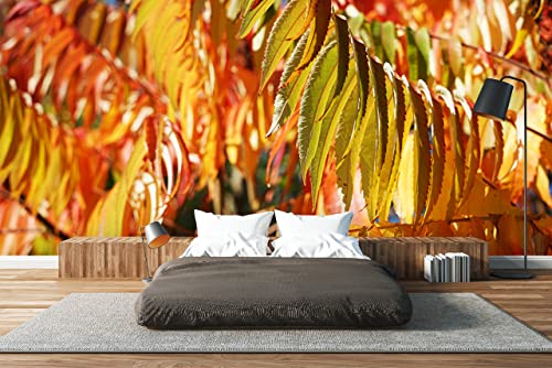 Glücksvilla - Fototapete, selbstklebend (480 x 300 cm BxH) - div. Maße - Vlies-Tapete XXL moderne Wand-Deko - Buntes Herbstlaub 7 - Fotografie Garten-Pflanzen Baum Herbst Blätter Natur von Glücksvilla