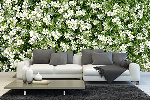 Glücksvilla - Fototapete, selbstklebend (480 x 300 cm BxH) - div. Maße - Vlies-Tapete XXL moderne Wand-Deko - Weiße Blüten-Wiese - florale Fotografie Blumen Garten-Pflanzen Natur Botanik von Glücksvilla
