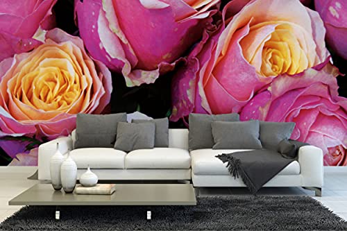 Glücksvilla - Fototapete, selbstklebend (600 x 250 cm (BxH) - div. Maße - Vlies-Tapete - Wand-Deko - Rosentraum - Rose Blume Blüte Natur Garten Botanik rosa rot Fotografie x von Glücksvilla