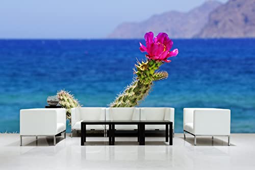 Glücksvilla - Fototapete, selbstklebend (600 x 250 cm (BxH) - div. Maße - Vlies-Tapete XXL Wand-Deko - Kreta - pinke Kaktusblüte - Griechenland Mittelmeer Kakteen Blüte Meer Fotografie x von Glücksvilla