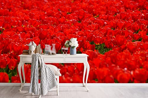 Glücksvilla - Fototapete, selbstklebend (600 x 250 cm (BxH) - div. Maße - Vlies-Tapete XXL moderne Wand-Deko - Tulpenmeer 6 - Tulpe Blüte Blumen Feld Natur Garten Botanik rot Fotografie von Glücksvilla