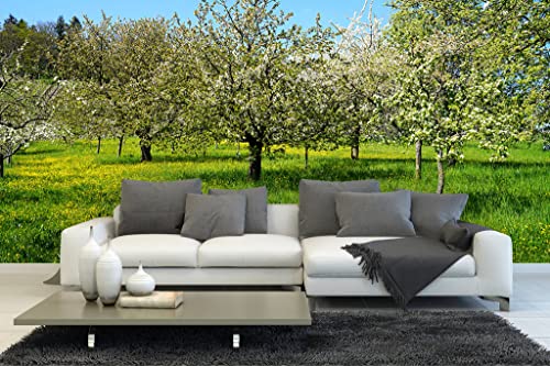 Glücksvilla - Fototapete, selbstklebend (600 x 250 cm (BxH) - div. Maße - Vlies-Tapete - moderne Wand-Deko - Frühlingswiese Blütenmeer - Natur Botanik Wiese Garten Blume Blüte Fotografie von Glücksvilla
